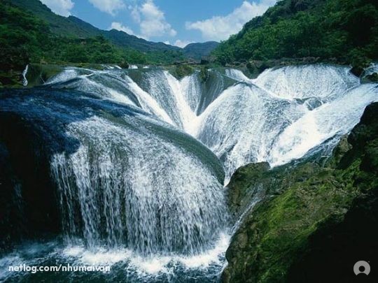 Chọn lọc môi trường sống